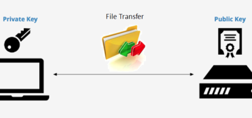 ssh private key public key