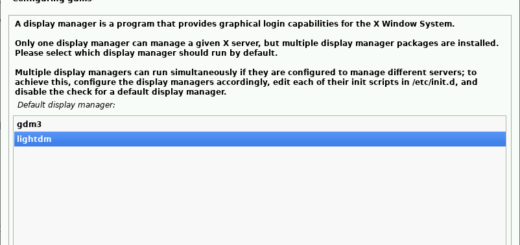 Kali Linux의 gdm3와 lightdm 선택