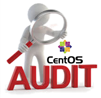 Linux Audit Log