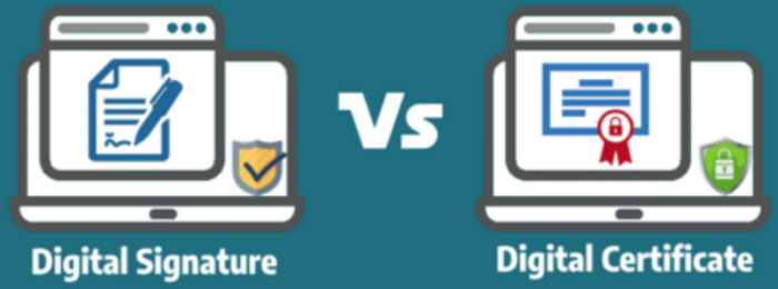 Digital Signature vs Digital Certificate