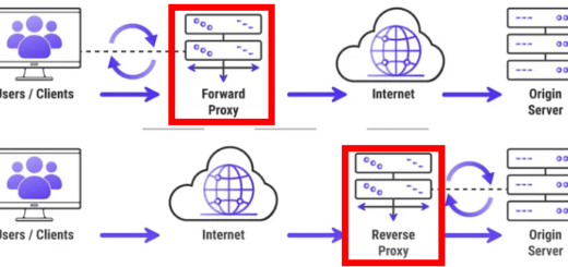 Forward Proxy Server vs Reverse Proxy Server