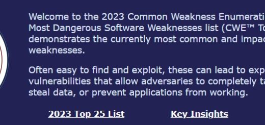 CWE Top 25 Most Dangerous Software Weaknesses