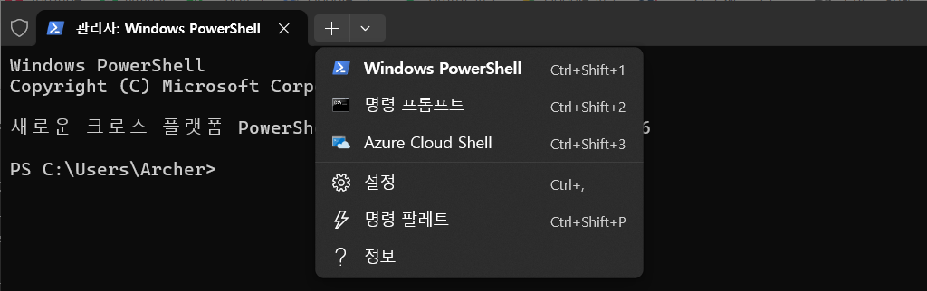 Windows 터미널