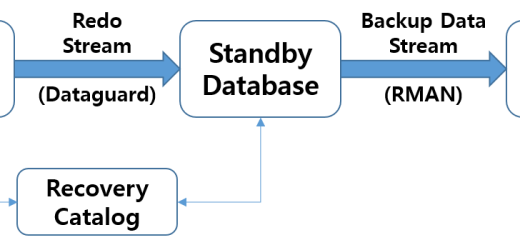 Data Guard 기반의 백업 오프로딩(Backup Offloading) 구조