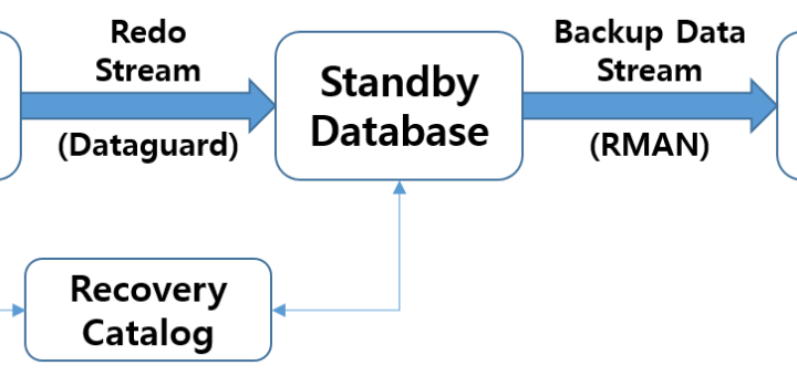 Data Guard 기반의 백업 오프로딩(Backup Offloading) 구조