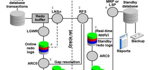 Oracle Dataguard Architecture